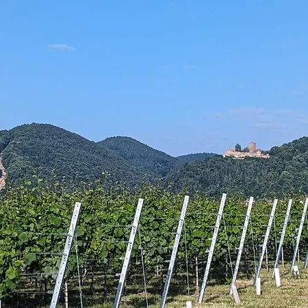 Lägenhet Rustika Klingenmünster