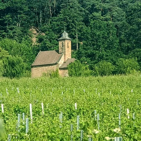 Lägenhet Rustika Klingenmünster