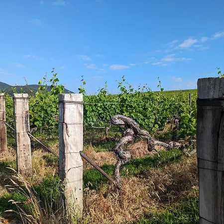 Rustika * Klingenmünster