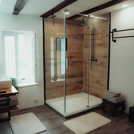 Rustika Lägenhet Klingenmünster