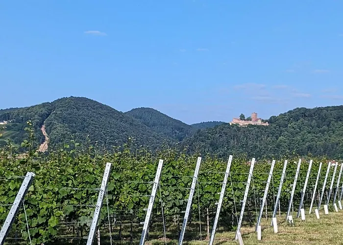 公寓 Rustika Klingenmünster