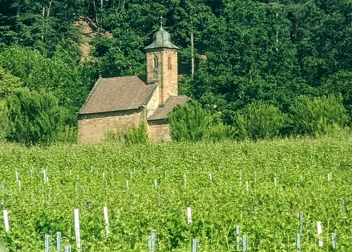 Apartment Rustika Klingenmünster