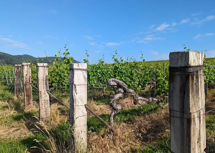 Rustika * Klingenmünster